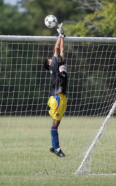 两支晋级的 两支晋级的