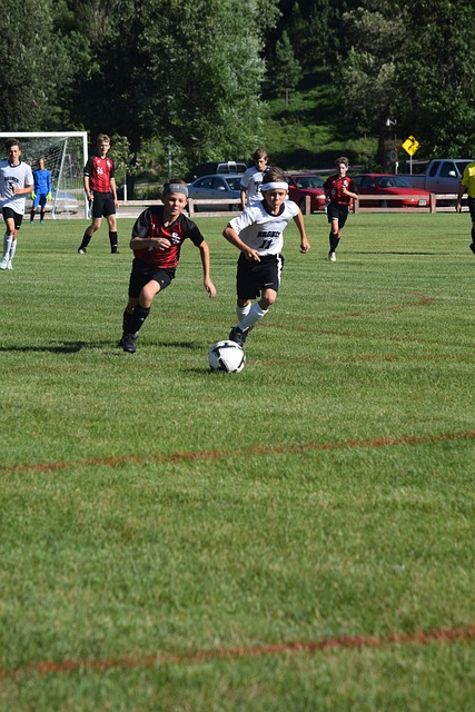 通过对他们 通过对他们