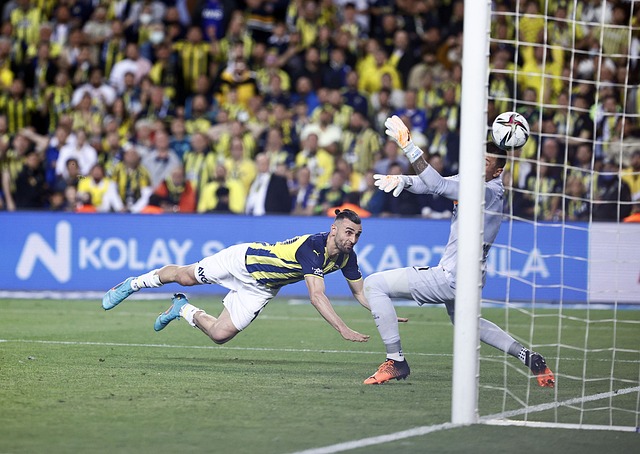 得不制定特 得不制定特