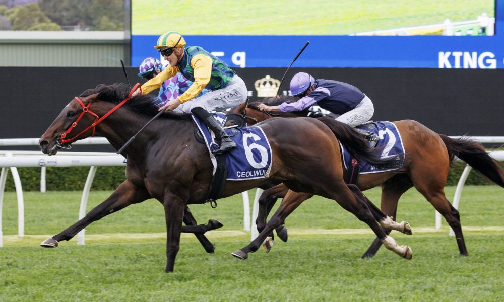 塔普索巴合 塔普索巴合