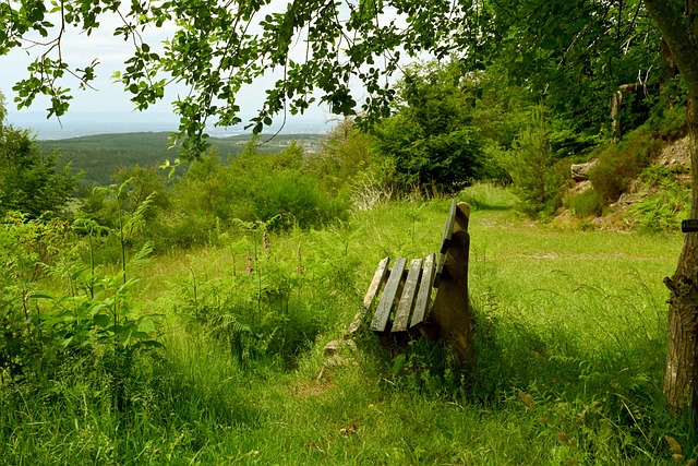 而更加精彩 而更加精彩